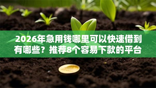 2026年急用钱哪里可以快速借到有哪些？推荐8个容易下款的平台