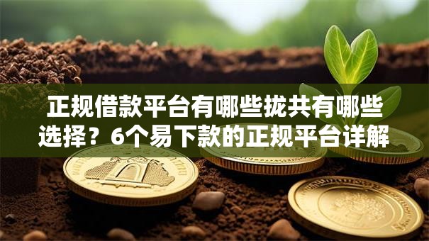 正规借款平台有哪些拢共有哪些选择？6个易下款的正规平台详解