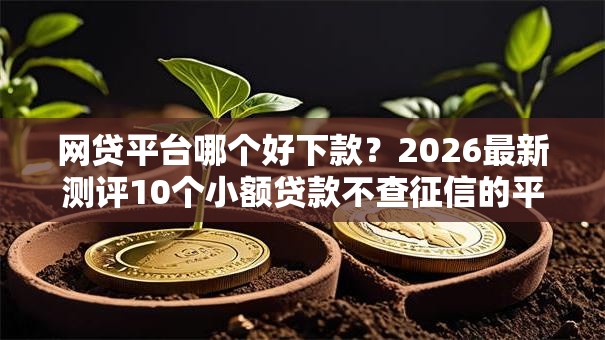 网贷平台哪个好下款？2026最新测评10个小额贷款不查征信的平台