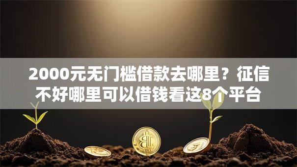2000元无门槛借款去哪里？征信不好哪里可以借钱看这8个平台