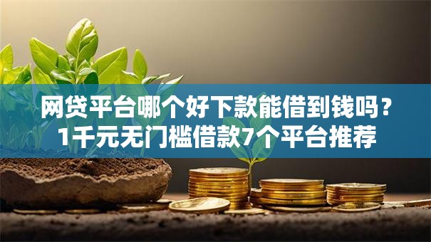 网贷平台哪个好下款能借到钱吗？1千元无门槛借款7个平台推荐
