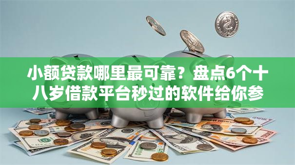 小额贷款哪里最可靠？盘点6个十八岁借款平台秒过的软件给你参考