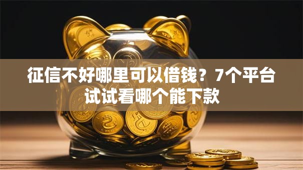 征信不好哪里可以借钱？7个平台试试看哪个能下款