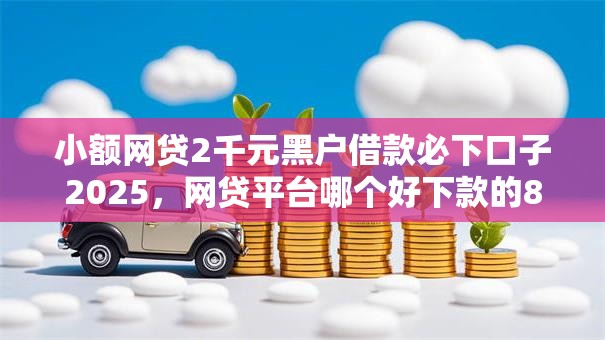 小额网贷2千元黑户借款必下口子2025，网贷平台哪个好下款的8个平台介绍