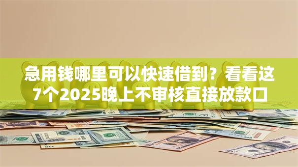 急用钱哪里可以快速借到？看看这7个2025晚上不审核直接放款口子怎么样