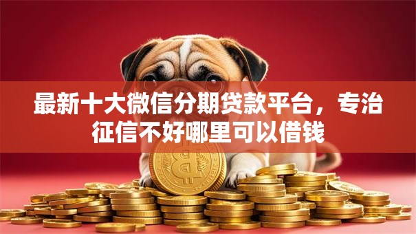 最新十大微信分期贷款平台，专治征信不好哪里可以借钱