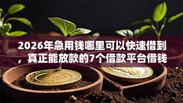 2026年急用钱哪里可以快速借到，真正能放款的7个借款平台借钱容易推荐