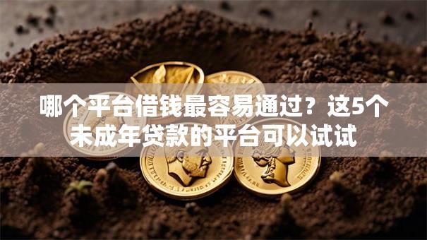 哪个平台借钱最容易通过？这5个未成年贷款的平台可以试试
