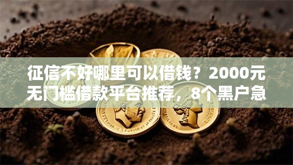 征信不好哪里可以借钱？2000元无门槛借款平台推荐，8个黑户急需三万秒到的的口子盘点