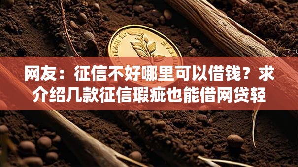 网友：征信不好哪里可以借钱？求介绍几款征信瑕疵也能借网贷轻松下款的app