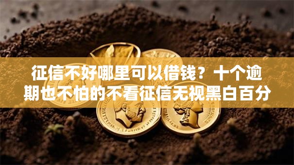 征信不好哪里可以借钱？十个逾期也不怕的不看征信无视黑白百分百下款口子