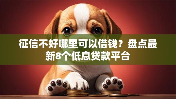 征信不好哪里可以借钱？盘点最新8个低息贷款平台