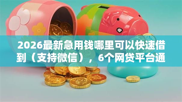 2026最新急用钱哪里可以快速借到（支持微信），6个网贷平台通过率高无私分享