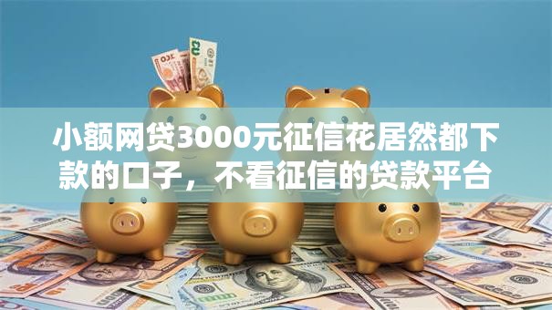 小额网贷3000元征信花居然都下款的口子，不看征信的贷款平台的5个平台介绍