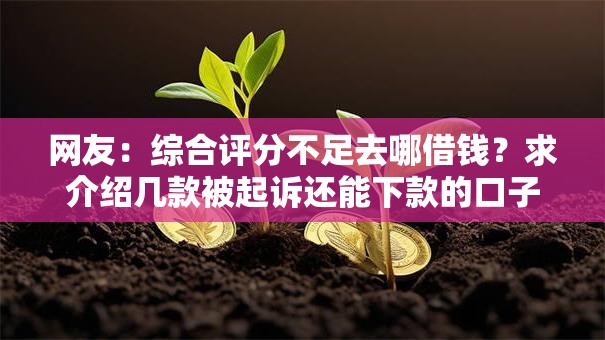 网友：综合评分不足去哪借钱？求介绍几款被起诉还能下款的口子