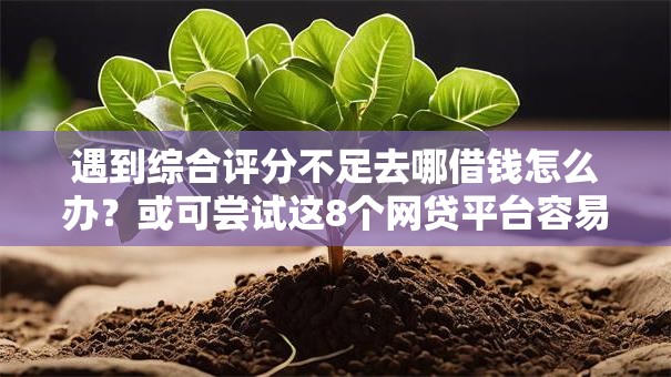 遇到综合评分不足去哪借钱怎么办？或可尝试这8个网贷平台容易通过