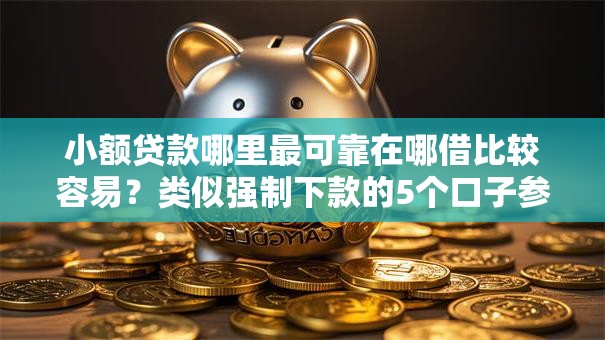 小额贷款哪里最可靠在哪借比较容易？类似强制下款的5个口子参考