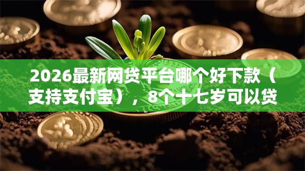 2026最新网贷平台哪个好下款（支持支付宝），8个十七岁可以贷款的平台无私分享