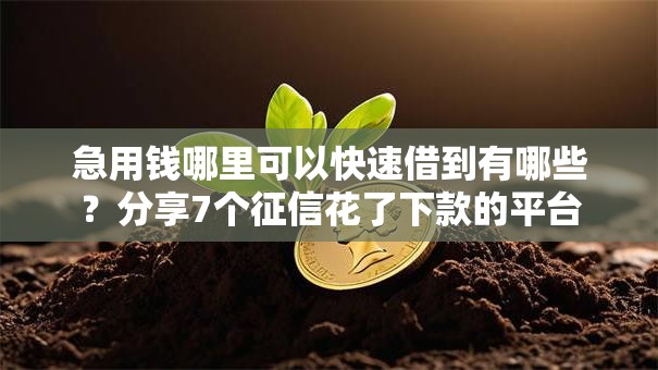 急用钱哪里可以快速借到有哪些？分享7个征信花了下款的平台