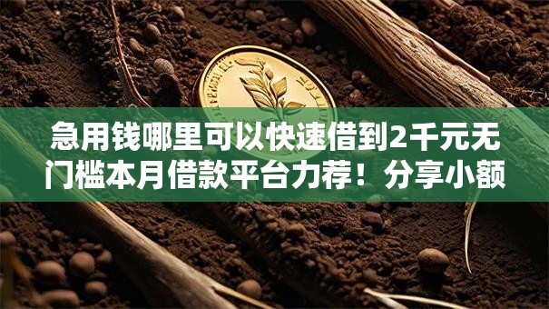 急用钱哪里可以快速借到2千元无门槛本月借款平台力荐！分享小额网贷口子2千元无门槛借款