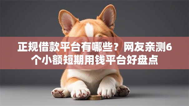 正规借款平台有哪些？网友亲测6个小额短期用钱平台好盘点