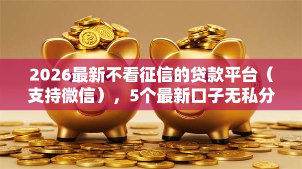 2026最新不看征信的贷款平台(支持微信),5个最新口子无私分享 2026最新不看征信的贷款平台(支持微信),5个最新口子无私分享