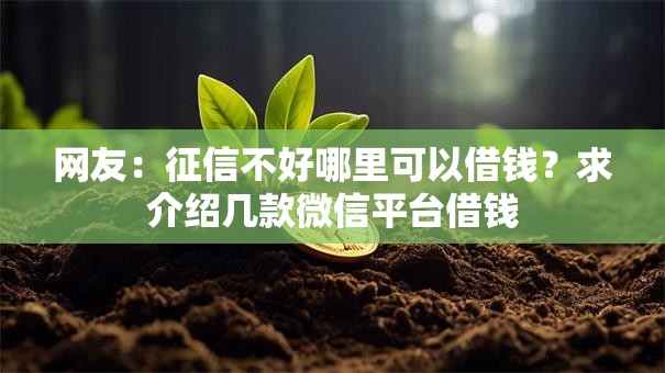 网友：征信不好哪里可以借钱？求介绍几款微信平台借钱