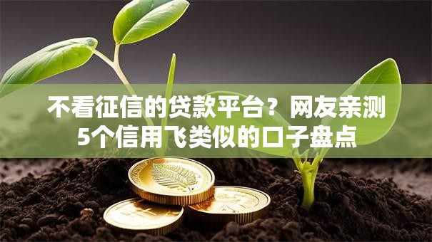 不看征信的贷款平台？网友亲测5个信用飞类似的口子盘点