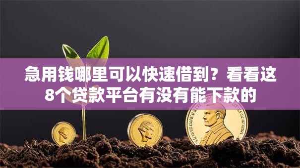 急用钱哪里可以快速借到？看看这8个贷款平台有没有能下款的