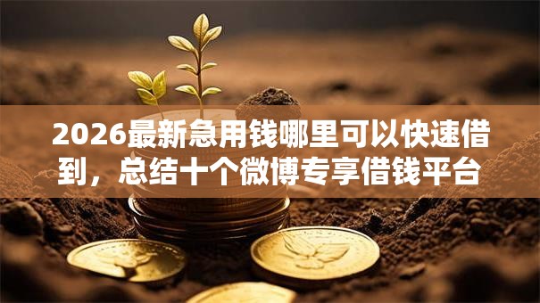 2026最新急用钱哪里可以快速借到，总结十个微博专享借钱平台！