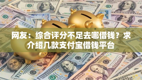 网友：综合评分不足去哪借钱？求介绍几款支付宝借钱平台