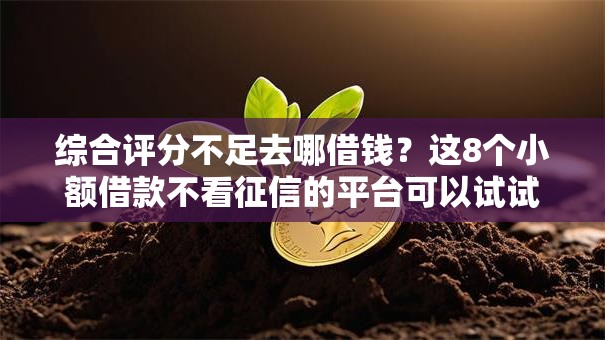 综合评分不足去哪借钱？这8个小额借款不看征信的平台可以试试