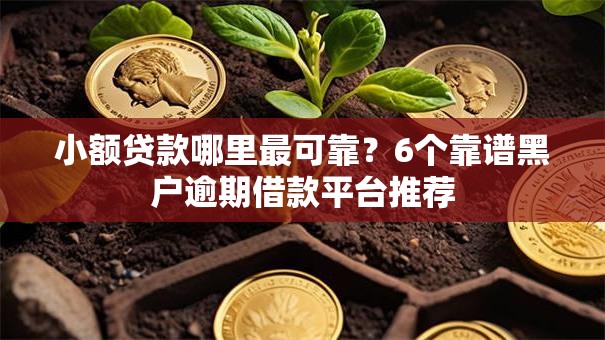 小额贷款哪里最可靠？6个靠谱黑户逾期借款平台推荐