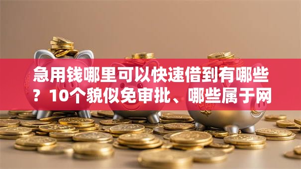 急用钱哪里可以快速借到有哪些？10个貌似免审批、哪些属于网贷平台合集