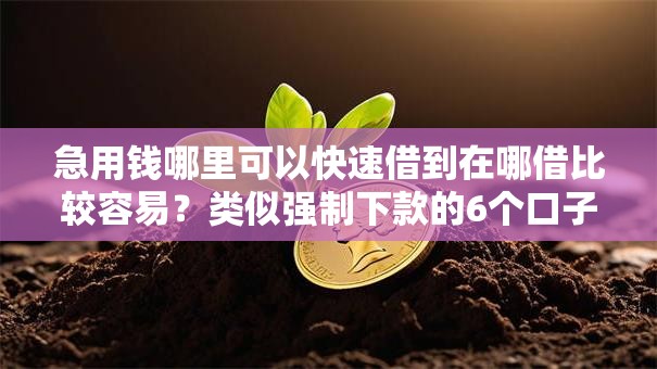 急用钱哪里可以快速借到在哪借比较容易？类似强制下款的6个口子参考