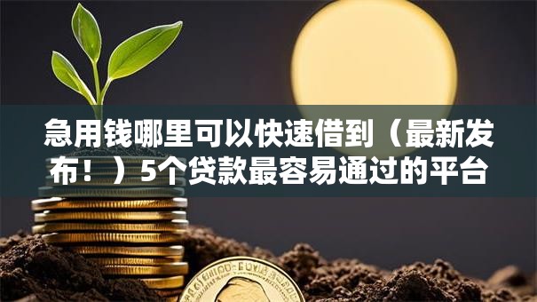 急用钱哪里可以快速借到(最新发布!)5个贷款最容易通过的平台 急用钱哪里可以快速借到(最新发布!)5个贷款最容易通过的平台