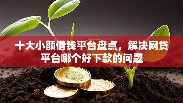 十大小额借钱平台盘点，解决网贷平台哪个好下款的问题