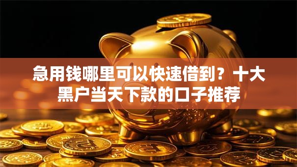 急用钱哪里可以快速借到？十大黑户当天下款的口子推荐