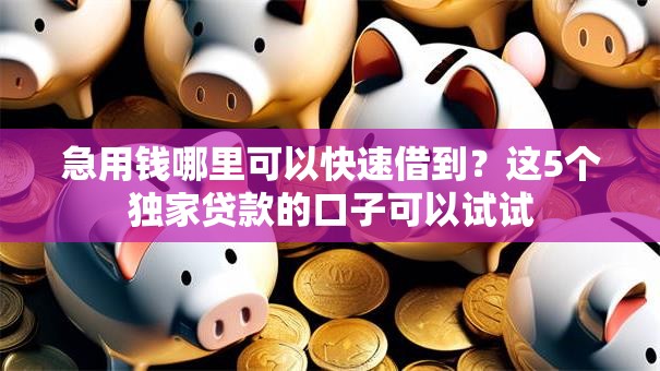 急用钱哪里可以快速借到？这5个独家贷款的口子可以试试