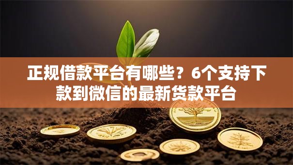 正规借款平台有哪些？6个支持下款到微信的最新货款平台
