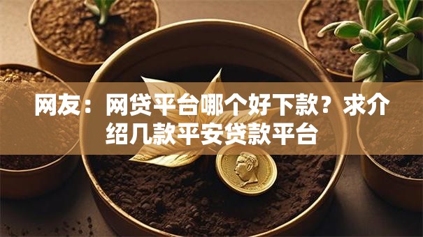 网友：网贷平台哪个好下款？求介绍几款平安贷款平台