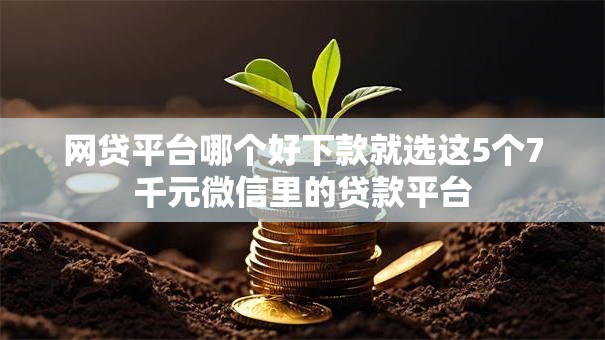 网贷平台哪个好下款就选这5个7千元微信里的贷款平台