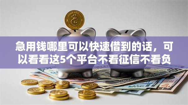 急用钱哪里可以快速借到的话，可以看看这5个平台不看征信不看负债可以贷到钱