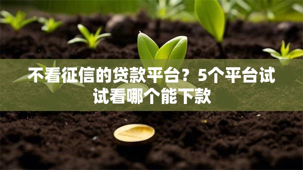 不看征信的贷款平台？5个平台试试看哪个能下款