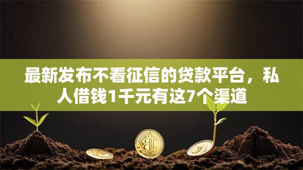 最新发布不看征信的贷款平台，私人借钱1千元有这7个渠道