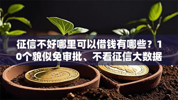 征信不好哪里可以借钱有哪些？10个貌似免审批、不看征信大数据的贷款平台合集