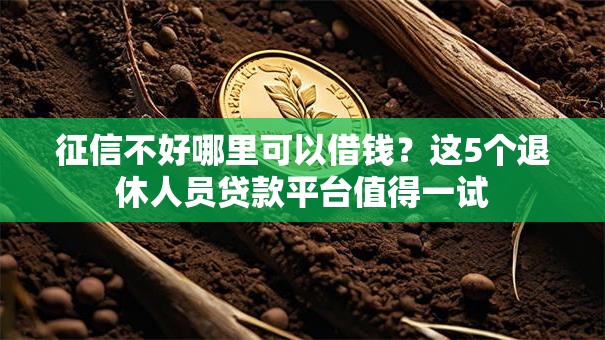征信不好哪里可以借钱？这5个退休人员贷款平台值得一试