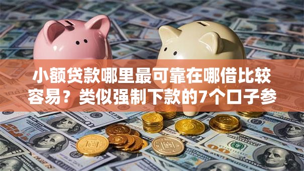 小额贷款哪里最可靠在哪借比较容易？类似强制下款的7个口子参考