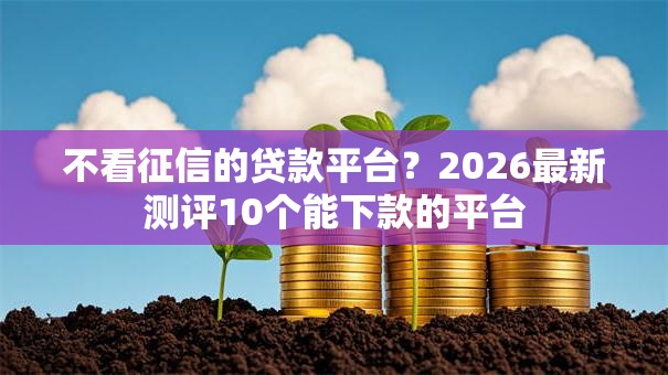 不看征信的贷款平台？2026最新测评10个能下款的平台