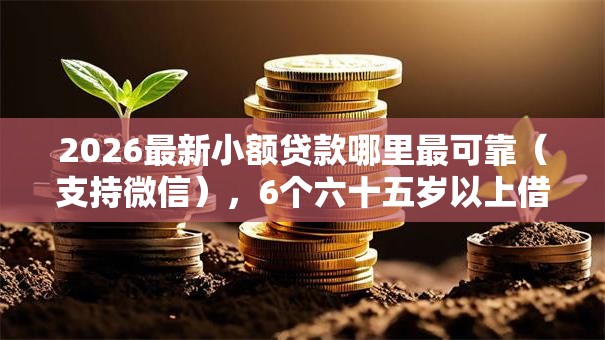 2026最新小额贷款哪里最可靠（支持微信），6个六十五岁以上借款平台无私分享